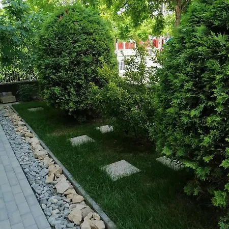 Gyoengyi * ヘーヴィーズ